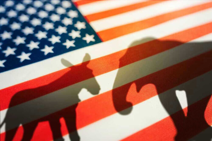 Donkey and elephant shadows on American flag background