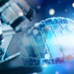 DNA from Smoothie Straw Solves Murder DNA sample under microscope