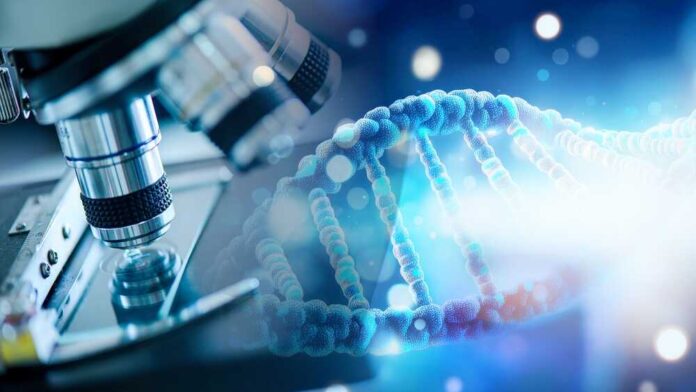 shutterstock_2497923333.jpg DNA sample under microscope