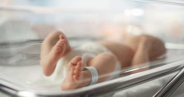 shutterstock_2288052627.jpg Newborn baby in hospital bassinet with ID band.