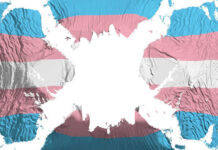 Transgender flag overlaid on a world map.