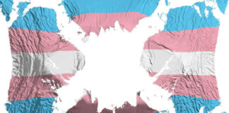 Transgender flag overlaid on a world map.