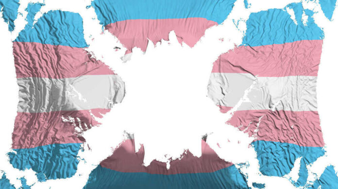 Transgender flag overlaid on a world map.