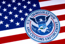 US Immigration and Customs Enforcement badge on flag