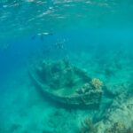 Ghost Ship Found Upright, Shockingly Intact An underwater scene featuring a shipwreck surrounded by fish and coral