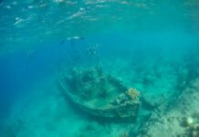 Ghost Ship Found Upright, Shockingly Intact An underwater scene featuring a shipwreck surrounded by fish and coral