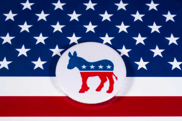Democratic Party donkey logo on American flag background.