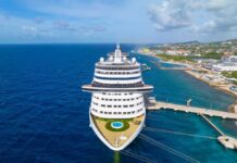 Cruise Outbreak Spirals — 153 Stricken A large cruise ship docked near a tropical coastline