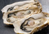 Three open oysters on a dark wooden surface