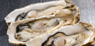 Three open oysters on a dark wooden surface