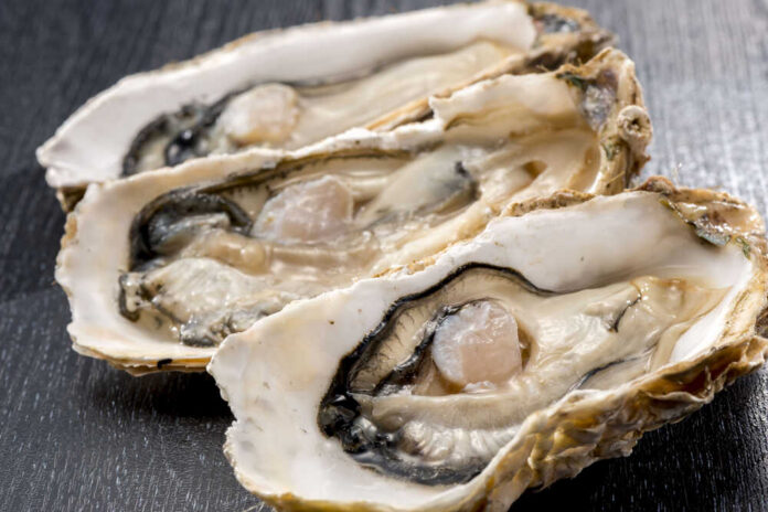 Three open oysters on a dark wooden surface