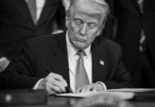 President Donald Trump