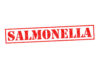Red stamp with the word 'SALMONELLA' indicating a health warning