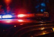 Tip Leads To Search — Body Found Close-up of a police car's emergency lights at night