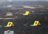 Pop Star Tied To Tesla Horror Yellow evidence markers labeled 8, 9, 10 on pavement.