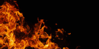 Firefighter spraying water on burning forest trees at night