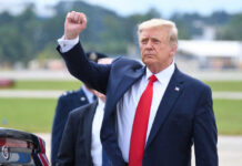 Spy-Movie Swap: Trump Vanishes on Tarmac Donald Trump raising their arm in a fist gesture near a car.