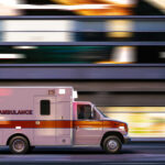 Laundry Room Bear Mauls Man