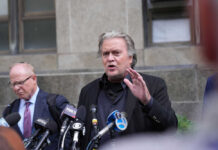 Steve Bannon
