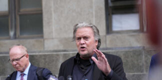 Steve Bannon