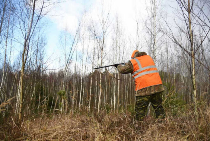 shutterstock_2091835204 Hunter in high-visibility vest aiming rifle in forest.