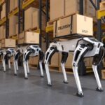 Quadruped delivery robots carrying boxes in a warehouse aisle