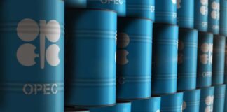 Blue oil barrels stacked in rows with OPEC logo