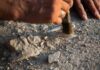 Archaeologist uncovering pottery at a dig site.