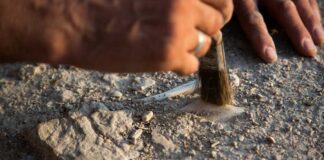 Archaeologist uncovering pottery at a dig site.