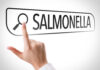 Salmonella Sprouts Spark Multistate Panic Hand pointing to a search bar with the word Salmonella
