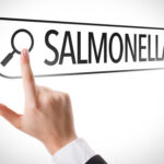 Hand pointing to a search bar with the word Salmonella