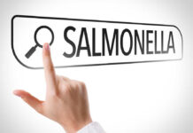Salmonella Sprouts Spark Multistate Panic Hand pointing to a search bar with the word Salmonella