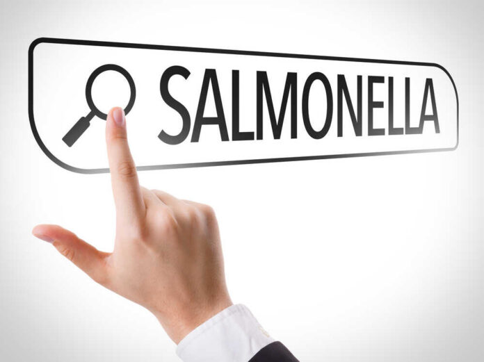 Hand pointing to a search bar with the word Salmonella
