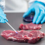 A gloved hand using a swab to test a piece of meat in a lab setting