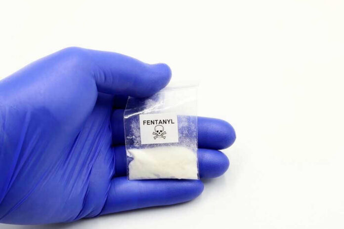 Hand in glove holding fentanyl packet with skull warning.