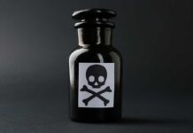 Baby Bottle Bombshell Rocks Parents Dark glass bottle with skull and crossbones label