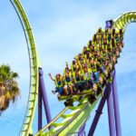 Roller Coaster Horror Shuts Rides Roller coaster riders on a green and purple loop