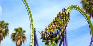 Roller coaster riders on a green and purple loop